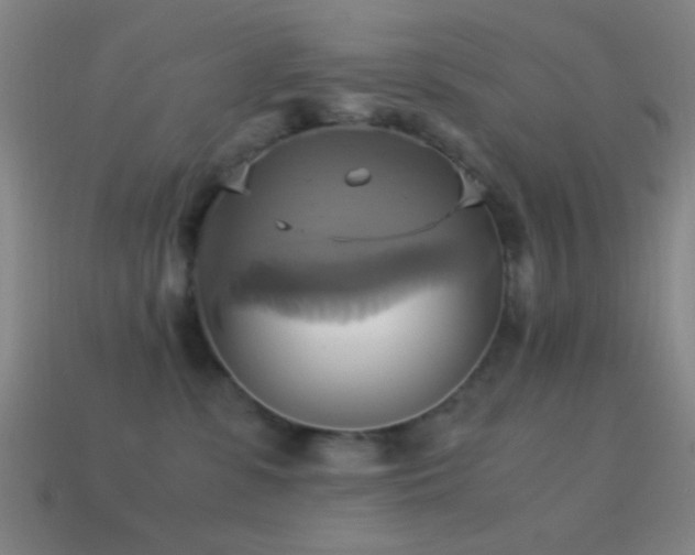 X0000114700331200910211257