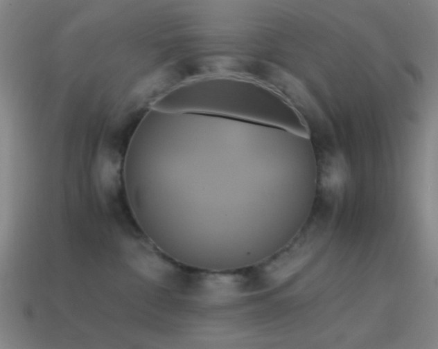 X0000114700332200910211257