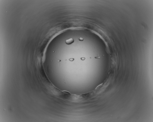 X0000114700333200910211257