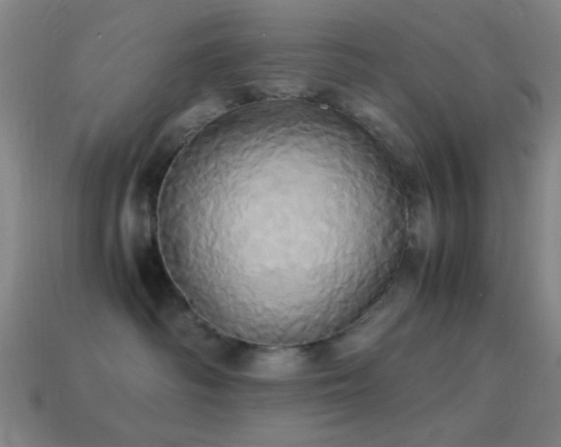 X0000114700334200910211257