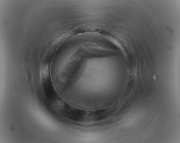 X0000114700335200910211257