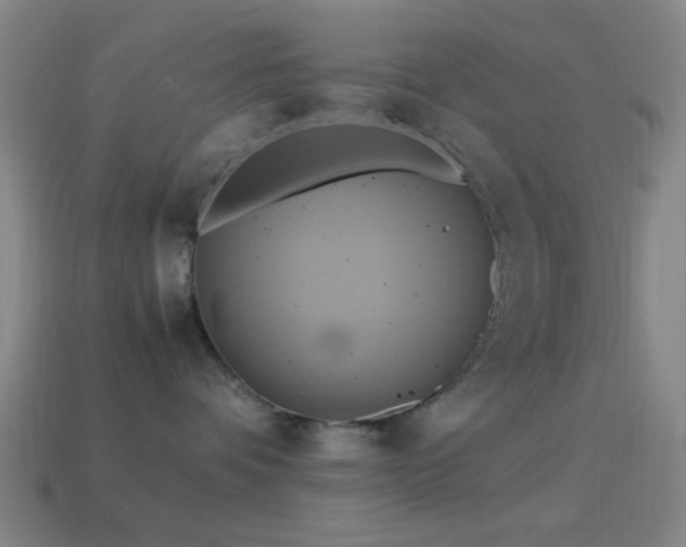 X0000114700336200910211257