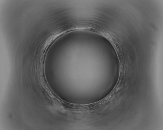 X0000114700337200910211256