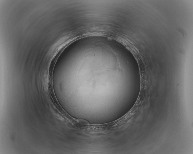 X0000114700338200910211256