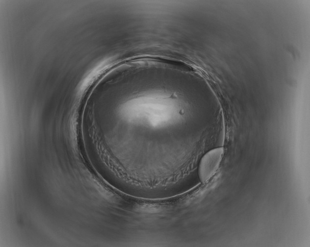 X0000114700341200910211256