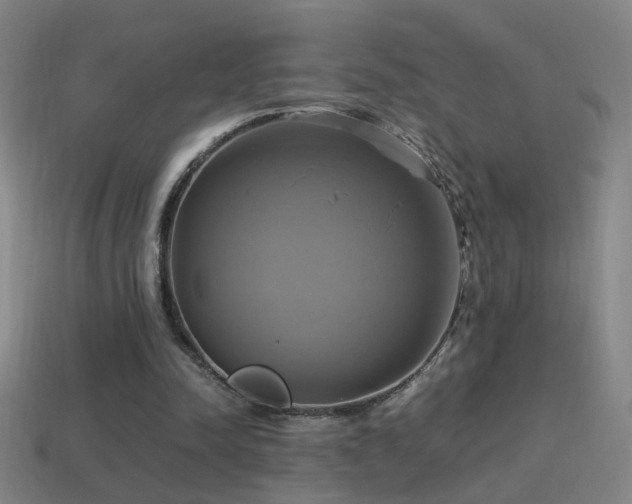 X0000114700342200910211256