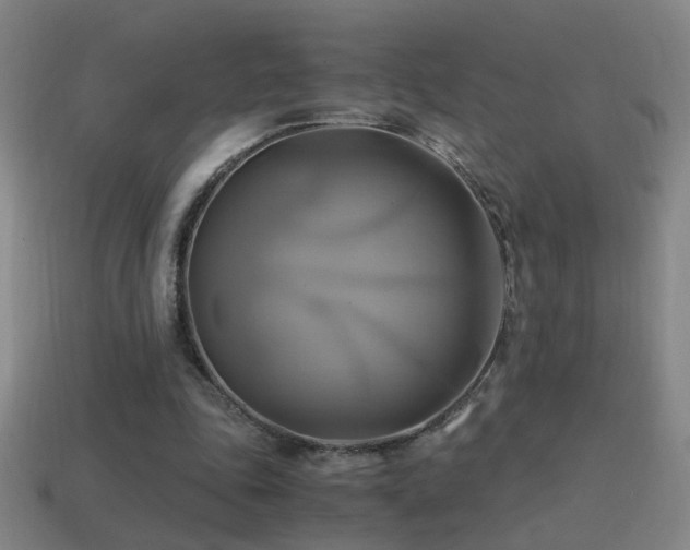 X0000114700343200910211256