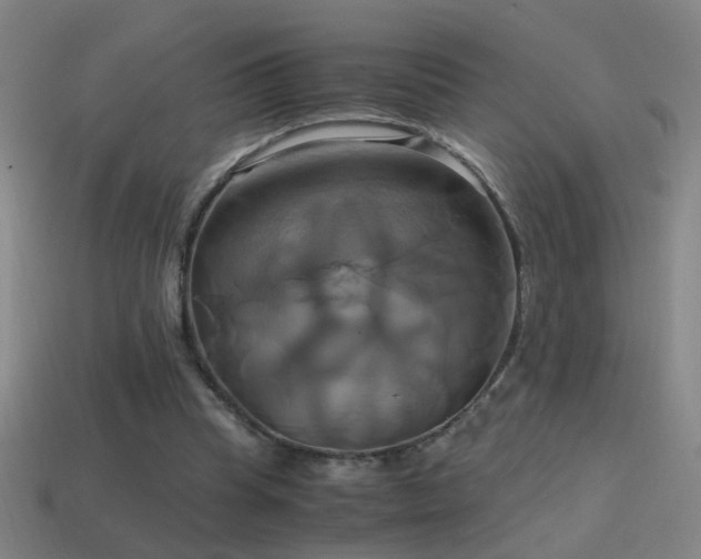 X0000114700345200910211256