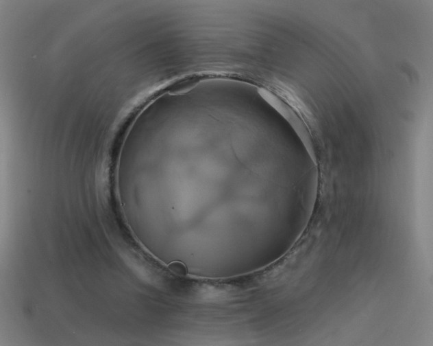 X0000114700346200910211256