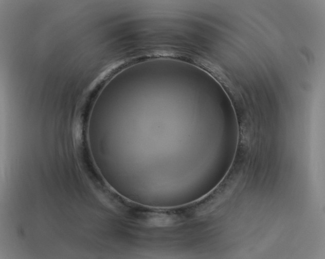 X0000114700347200910211256