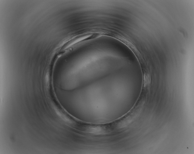 X0000114700349200910211256