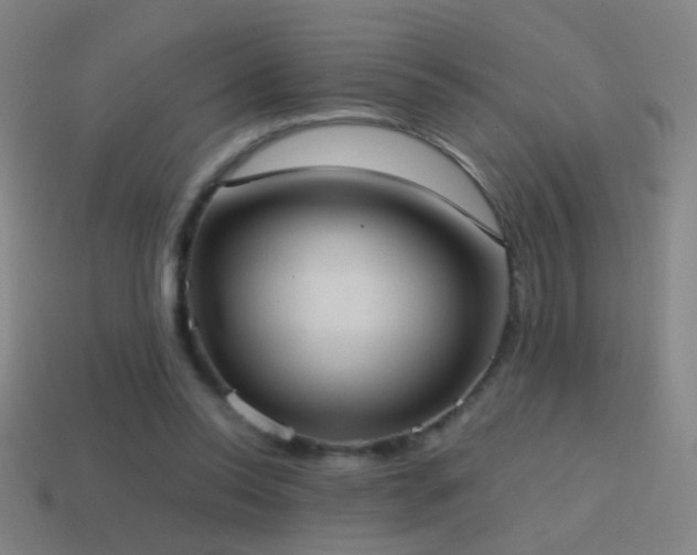 X0000114700350200910211256