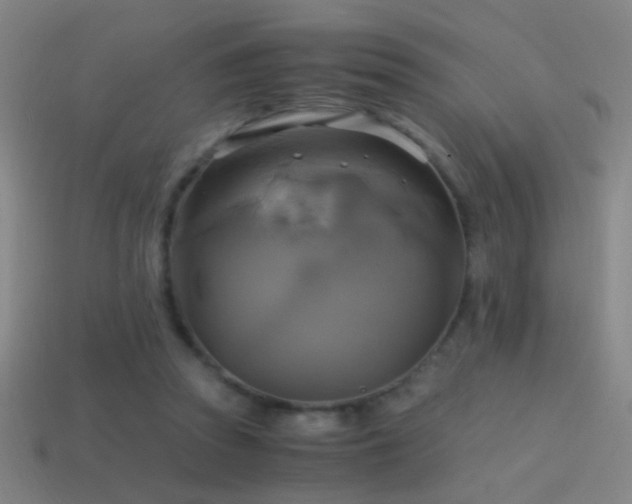 X0000114700353200910211256