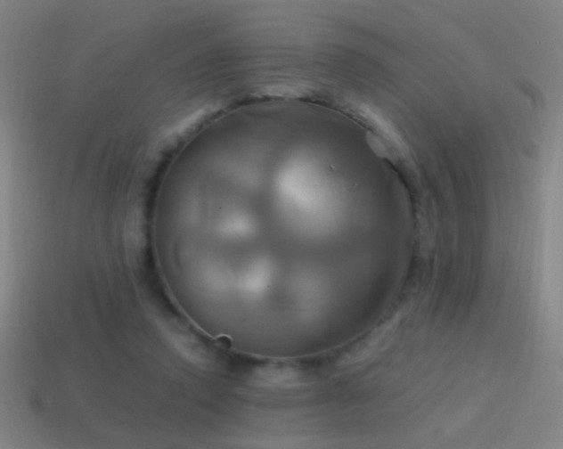 X0000114700354200910211256