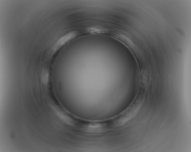 X0000114700357200910211256