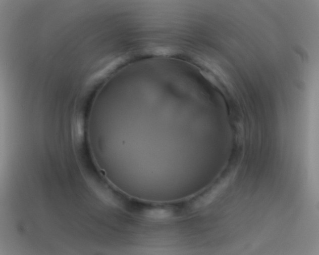 X0000114700358200910211256