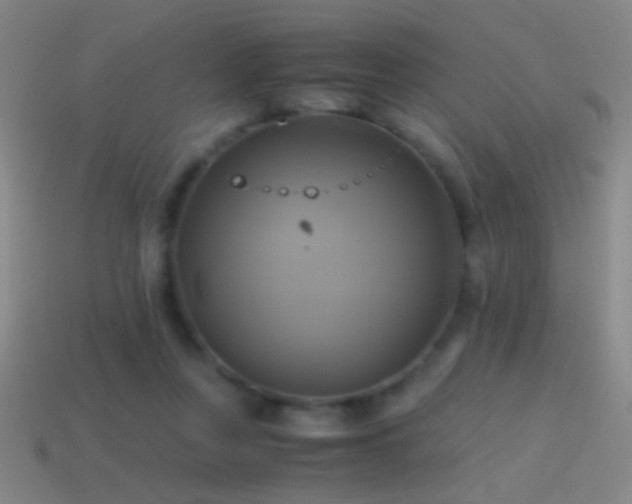 X0000114700359200910211256