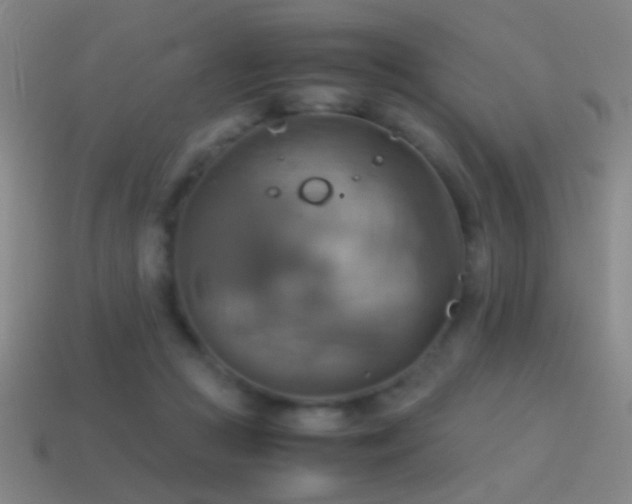 X0000114700361200910211256