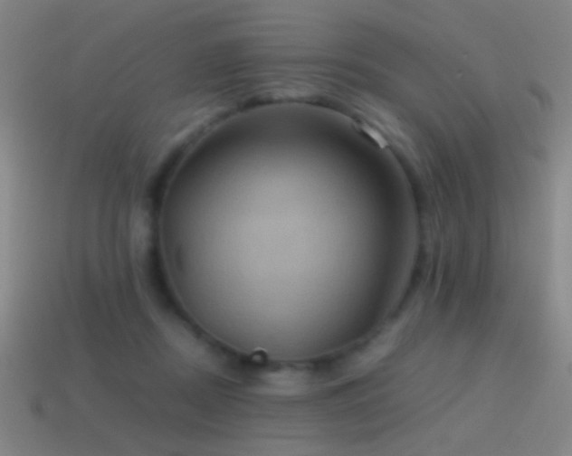 X0000114700362200910211256