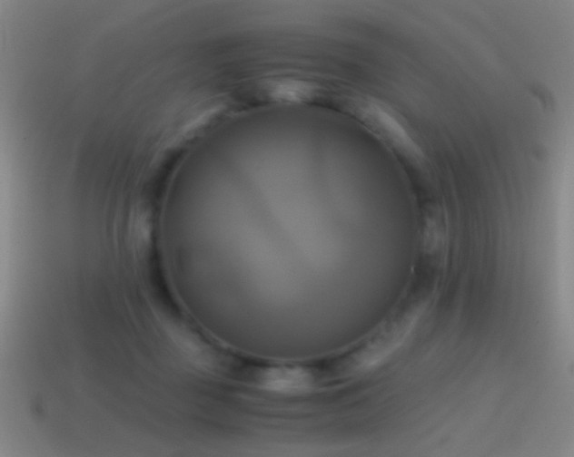 X0000114700363200910211256