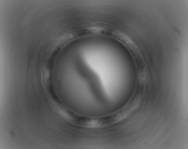 X0000114700365200910211257