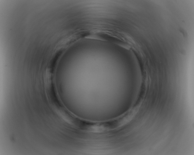 X0000114700366200910211257