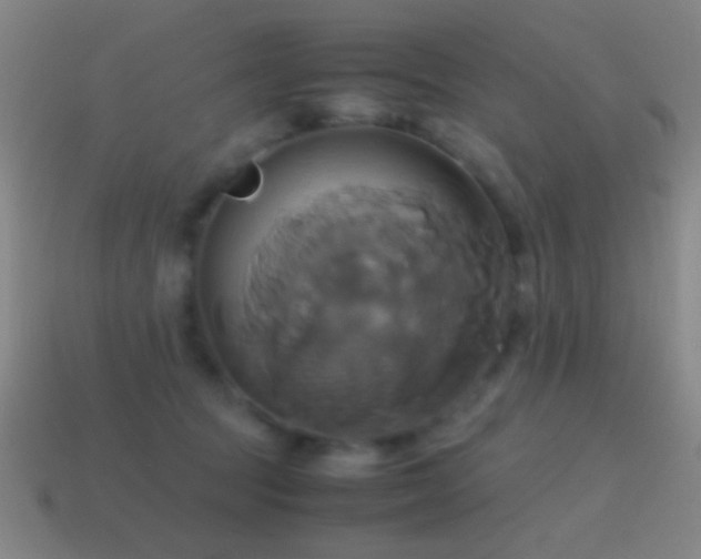 X0000114700369200910211257