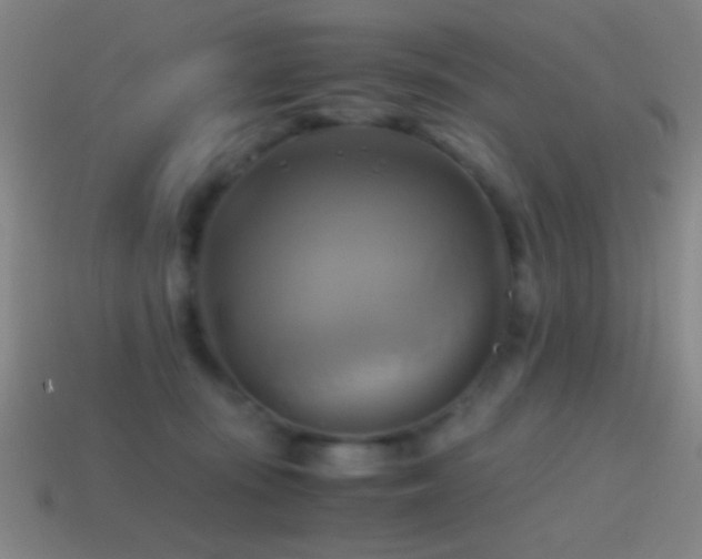 X0000114700371200910211257