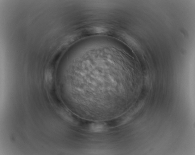 X0000114700373200910211257