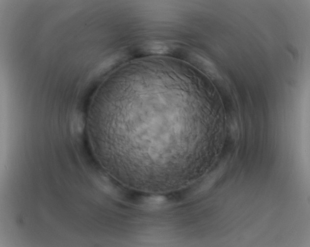 X0000114700374200910211257