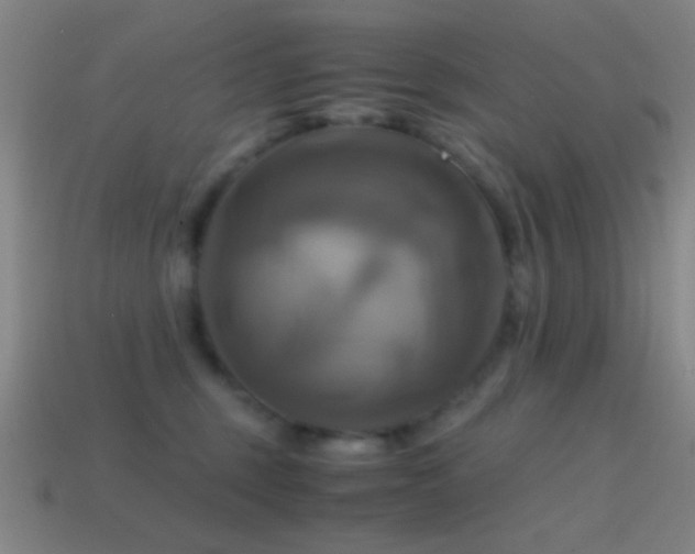 X0000114700375200910211257