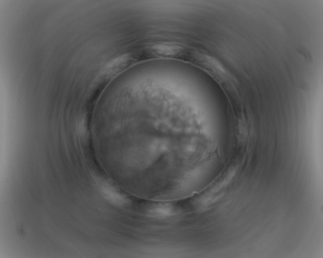 X0000114700377200910211257