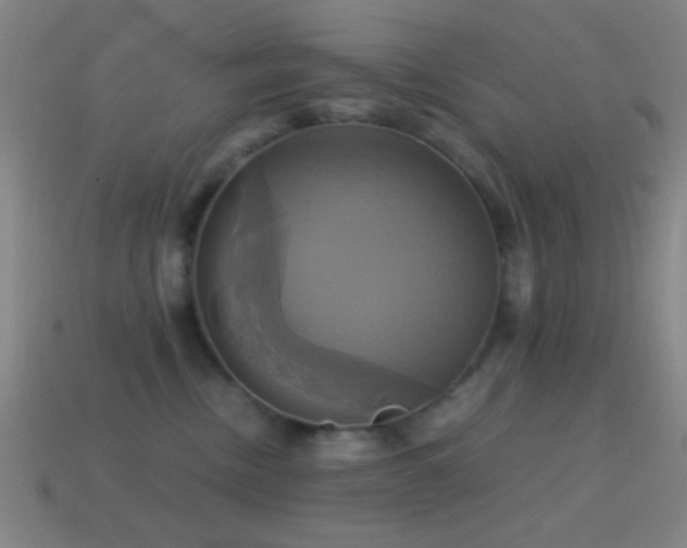 X0000114700378200910211257