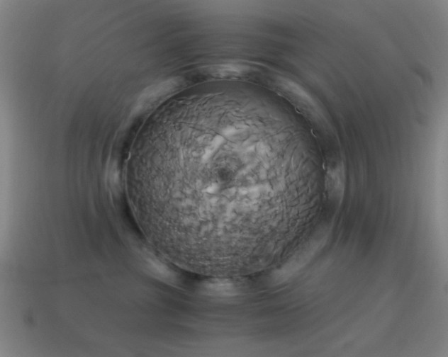 X0000114700381200910211257