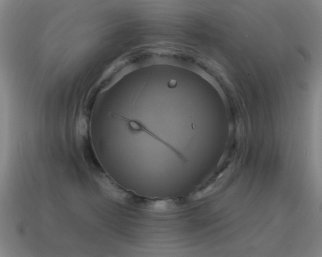 X0000114700382200910211257