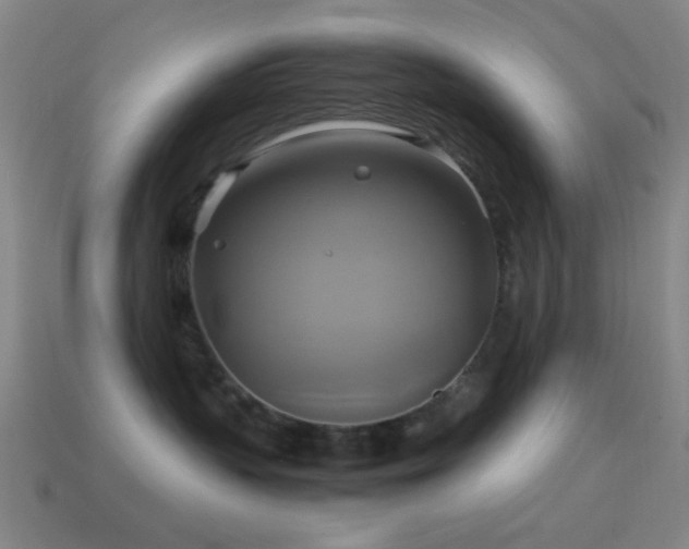 X0000114700383200910211257