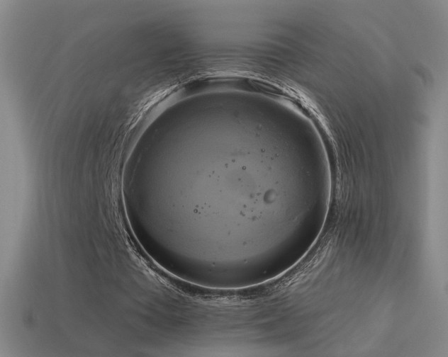 X0000114700385200910211256