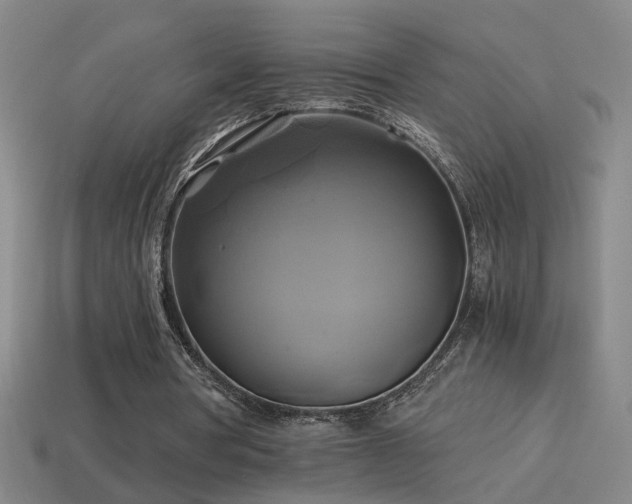 X0000114700386200910211256