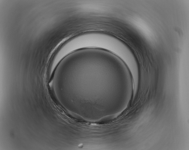 X0000114700387200910211256