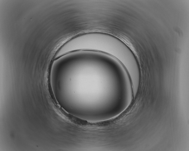 X0000114700389200910211256