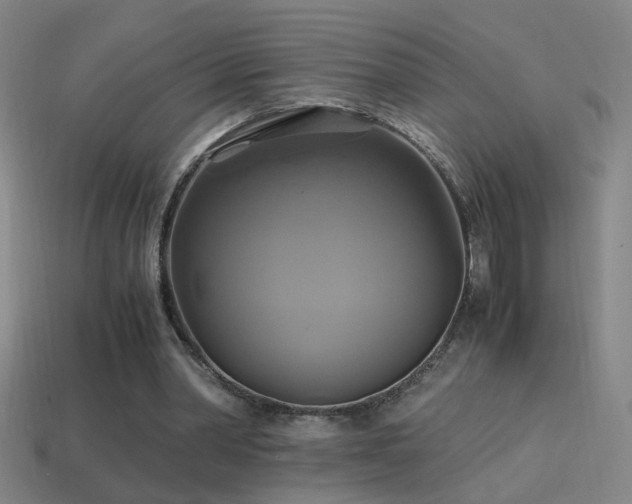 X0000114700390200910211256