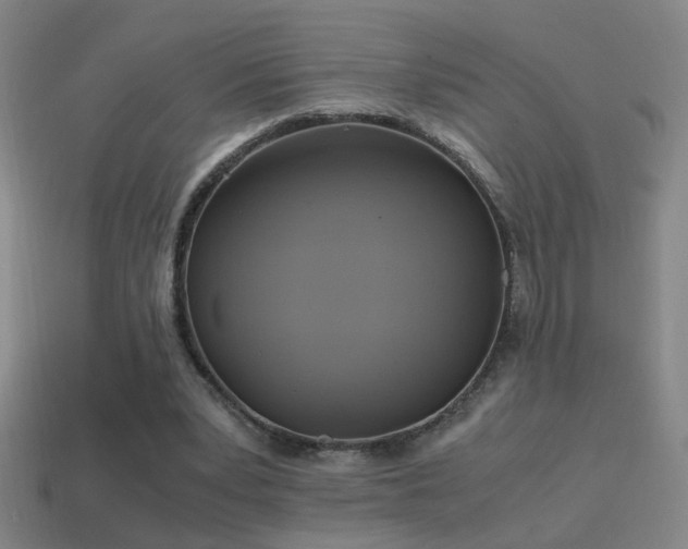 X0000114700391200910211256