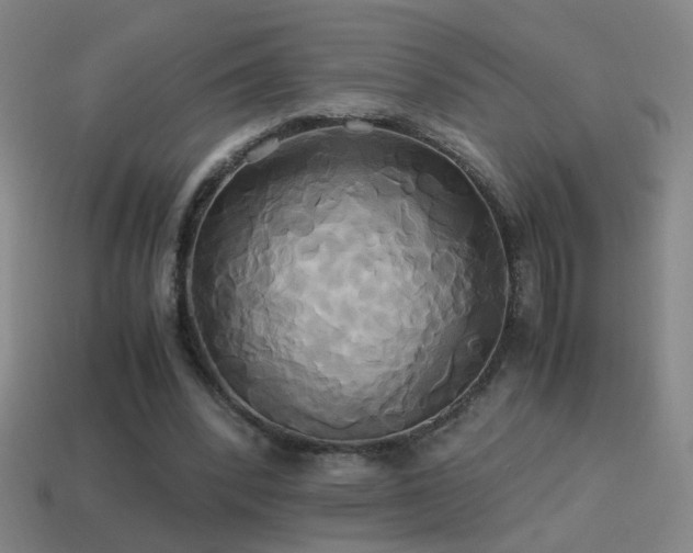 X0000114700392200910211256