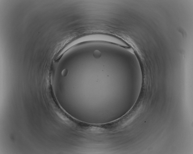 X0000114700393200910211256