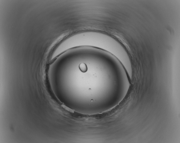 X0000114700395200910211256