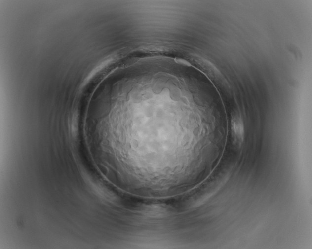 X0000114700396200910211256