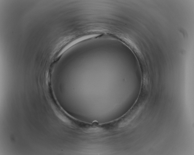 X0000114700397200910211256