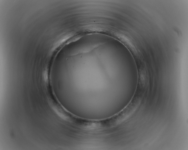 X0000114700398200910211256