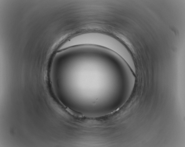 X0000114700399200910211256