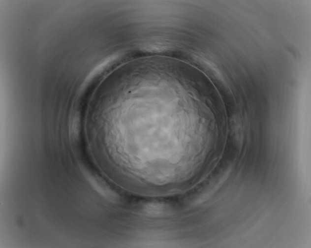 X0000114700400200910211256